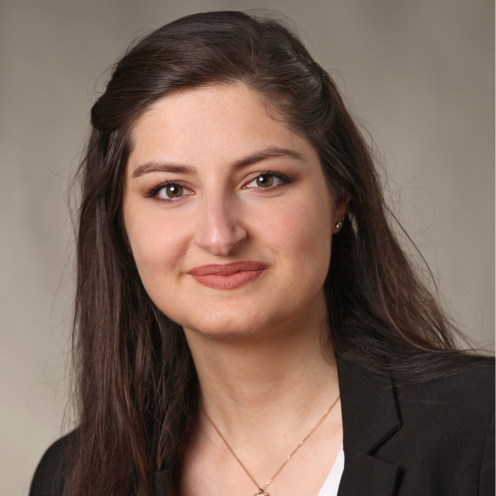 Sherivan Ibrahim Wirtschaftsingenieurwesen Leibniz Universität