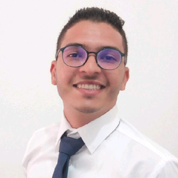 Mohamed Lotfi