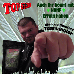 Marcus Geistert