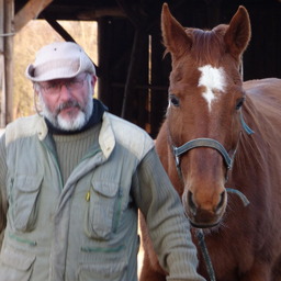 Dipl.-Ing. Reiner Oley