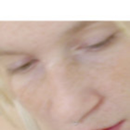 Anna Höller