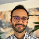 Amir H. Ebrahimzadeh