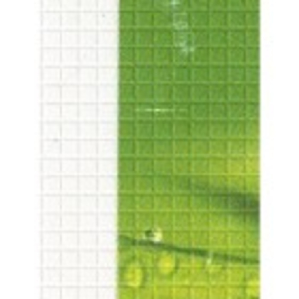 StandardGrip Machine Mat, 12 x 24 (2 ct)