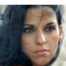DESY MARTINI