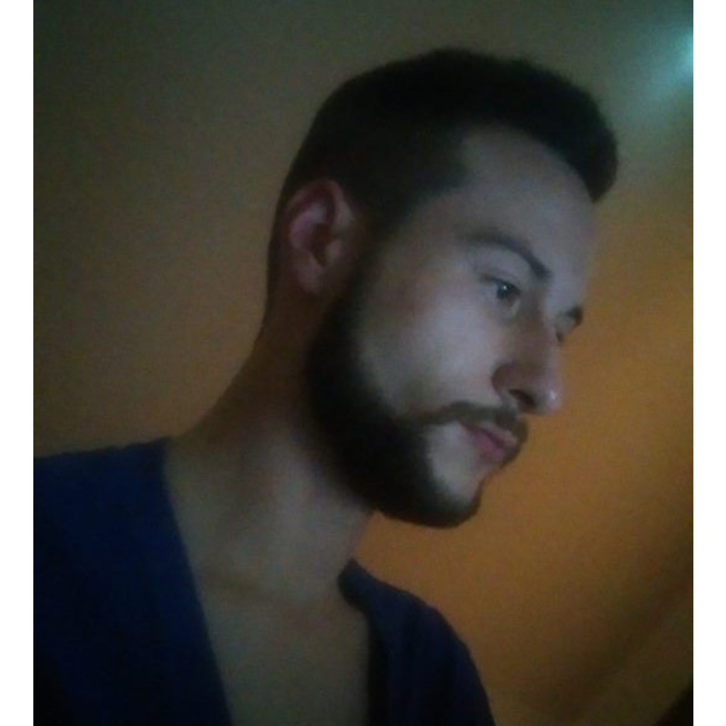 Maurizio Laub Handelsvertreter Vodafone GmbH XING