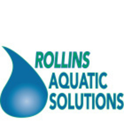 Rich Rollins