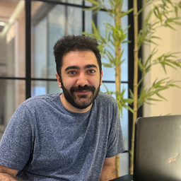 hamidreza zare
