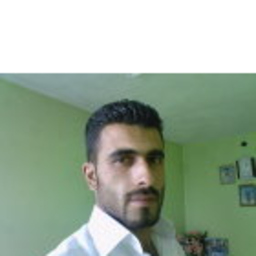 ZÜLKÜF KUŞ