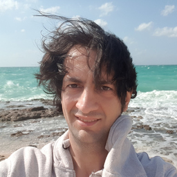 Roozbeh Savojbolaghi