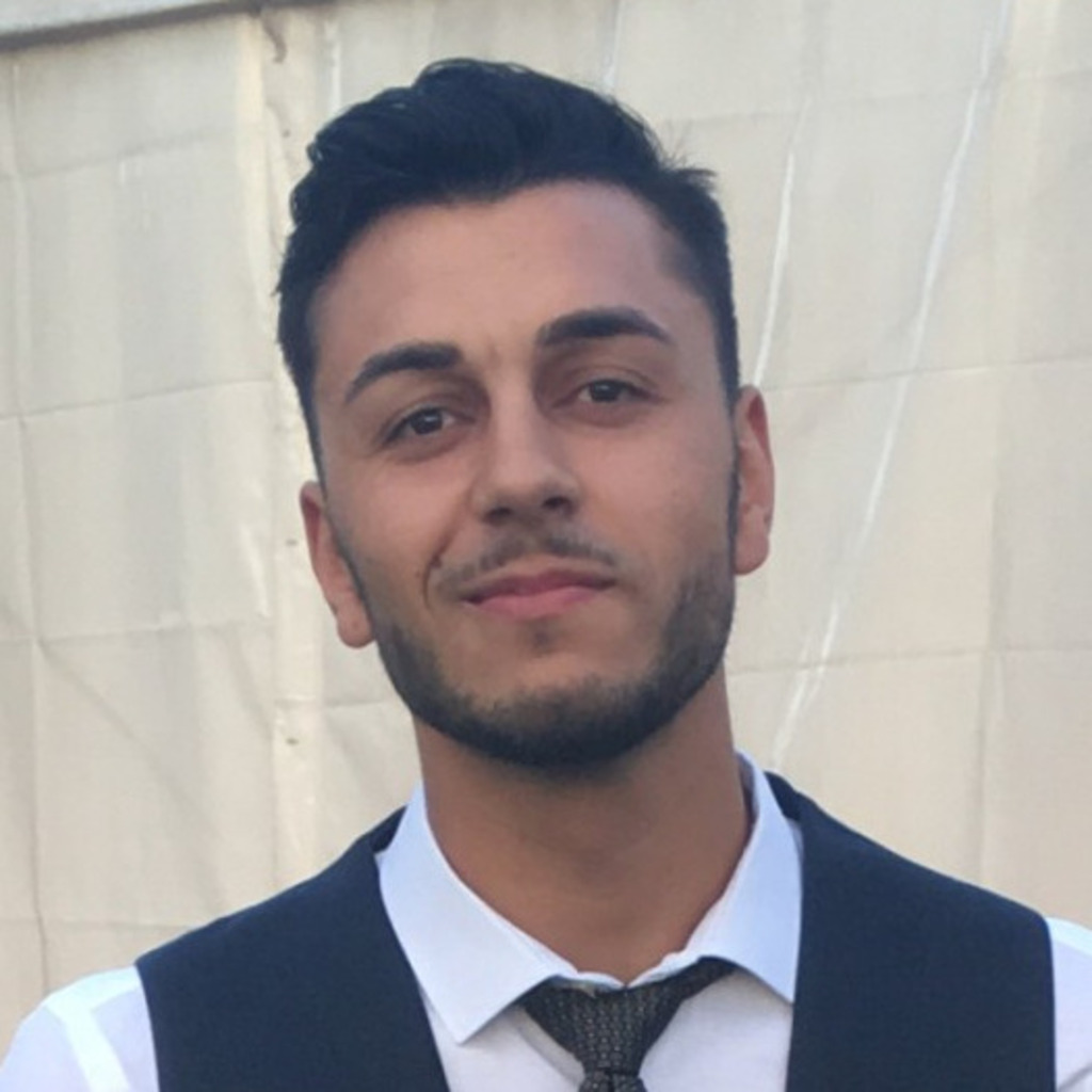 Cosmin Luca Software Engineer ZF Group XING