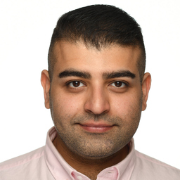 Hossein Niko