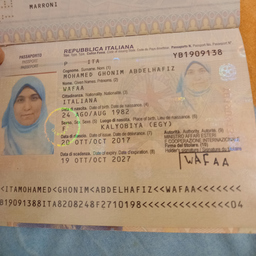 Wafaa Mohamed Ghonim