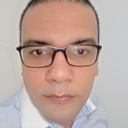 Mostafa Hamid