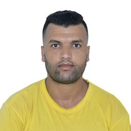 Karim Elarfaoui