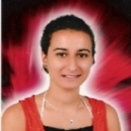 özlem Vesile Varlı