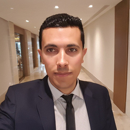 Salim Zouaoui