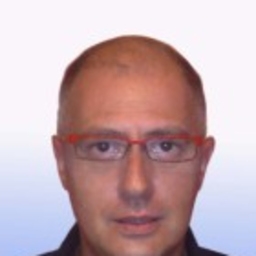 DOMINGO JAVIER ALVAREZ GARCÍA