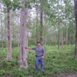fernando vanoye eligio