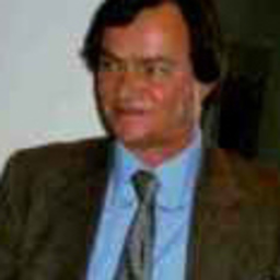 Wolfram P. Brandes