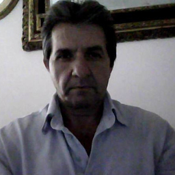 Danut Stanescu