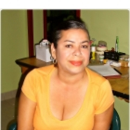 N.N. torres castro