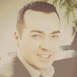 Zoran Ilic