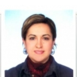 Burcu Can