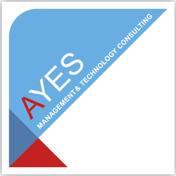 AYES Management & Technology Consulting's profile picture