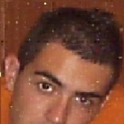 Juan Vicente Sanchis Navarro