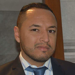 Dipl.-Ing. Saad Ayadi