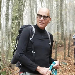 Andrea Colini
