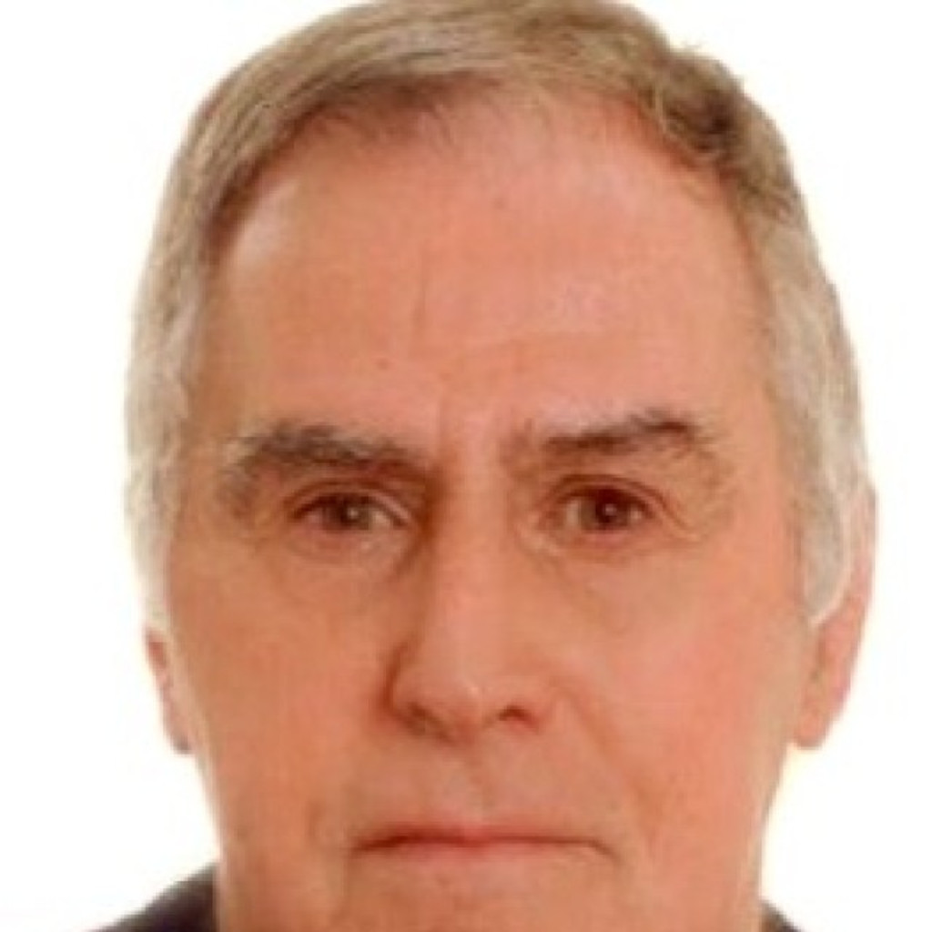 KarlHeinz Maurer CEO AMD Analysis & Technology AG XING