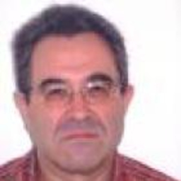 Prof. Luis Manuel Vilas Buendía