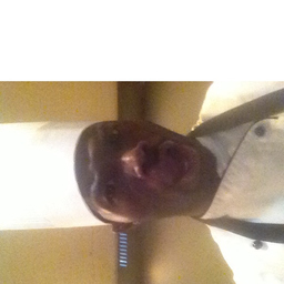 Maurice Farmer