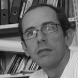 Ignacio Lejarcegui Santos