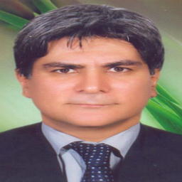 Amir Esmaeilzadeh Asiel