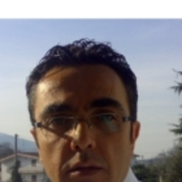 Vincenzo Ferri
