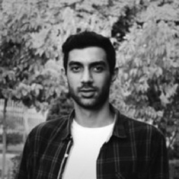 Ing. arash jalali