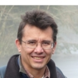 Raúl A. Perez Verzini