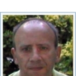 Luis Miguel Garcia Vega