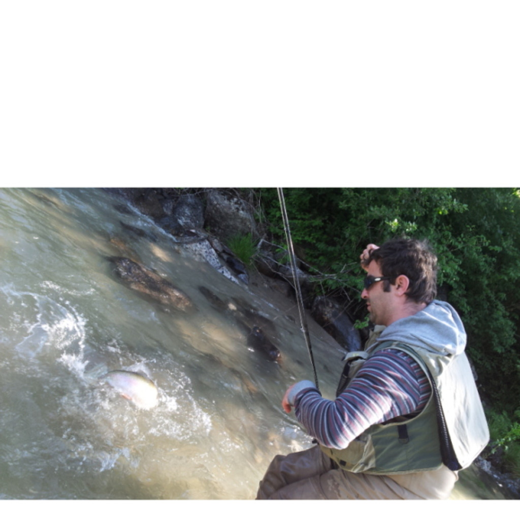 Massimo Caria Sales Manager Zeppelin Group srl XING