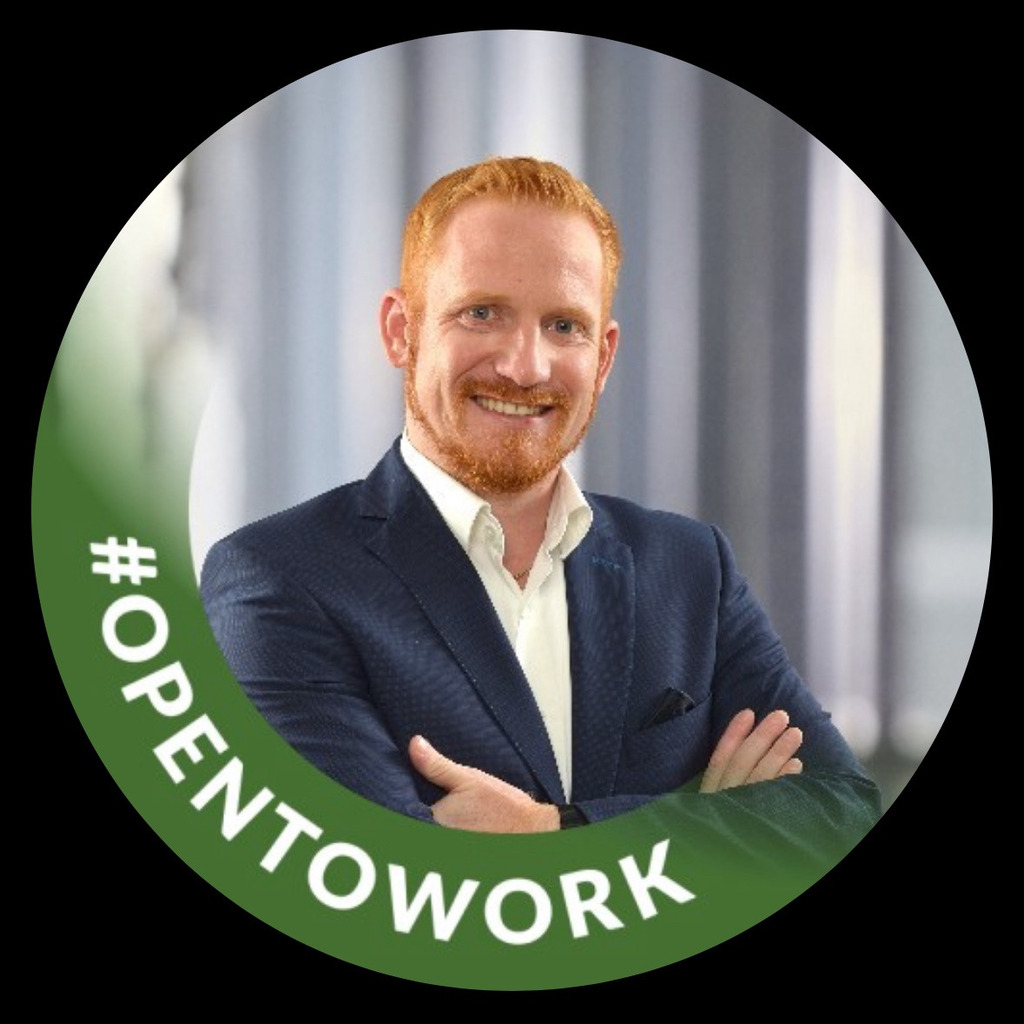 Michael Meier Bereichsleiter FUCHS Europoles GmbH XING