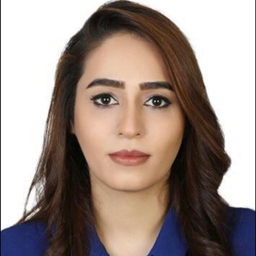 Ing. Parisa Parehkari