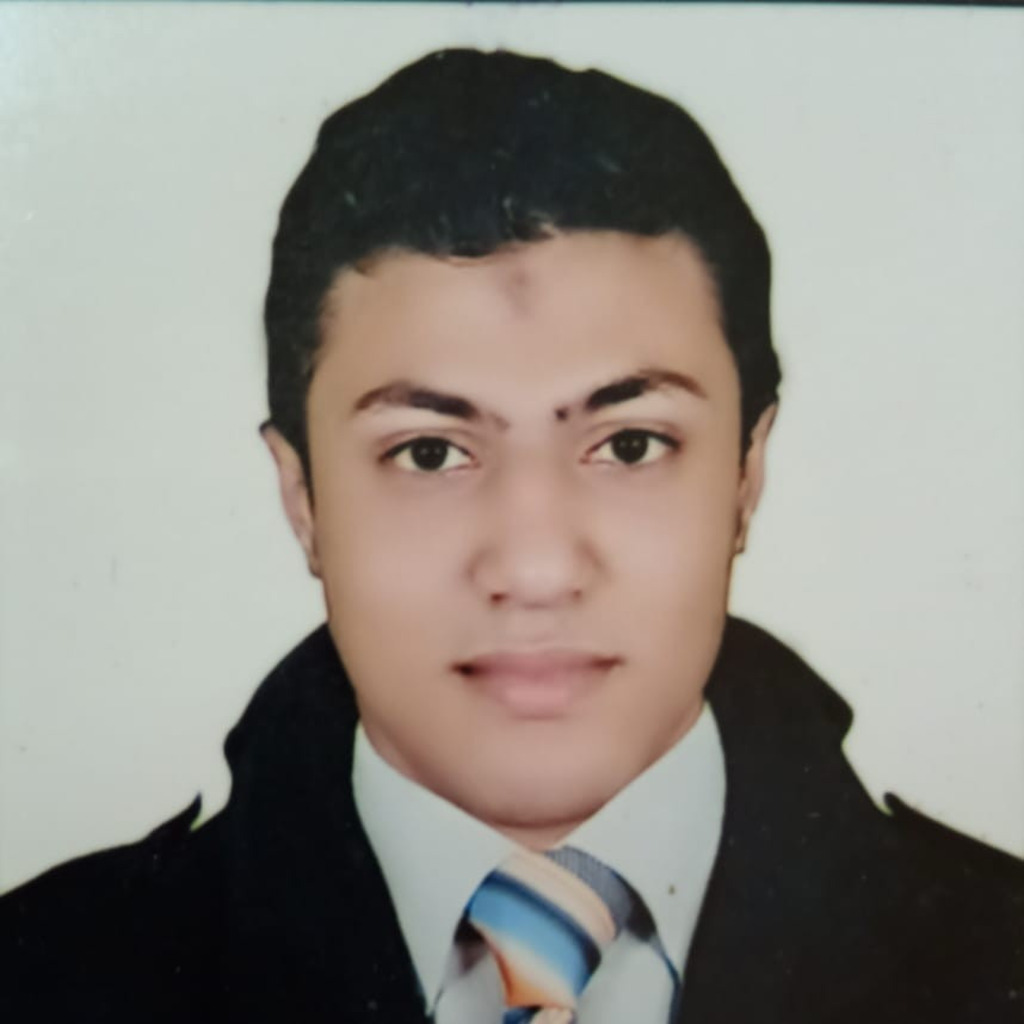 mohammed adel Geologist Agiba Petroleum Company XING