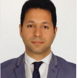 Metin Meric Kaya