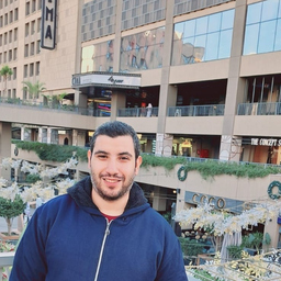 Mohamed Ibrahim