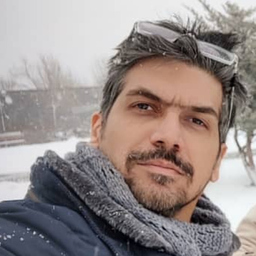 ehsan karimi