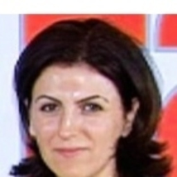 Ruhan Erdem