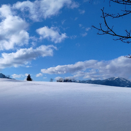 Profilbild Felicita Fuchs