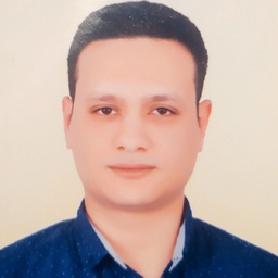 Hesham Elsayed